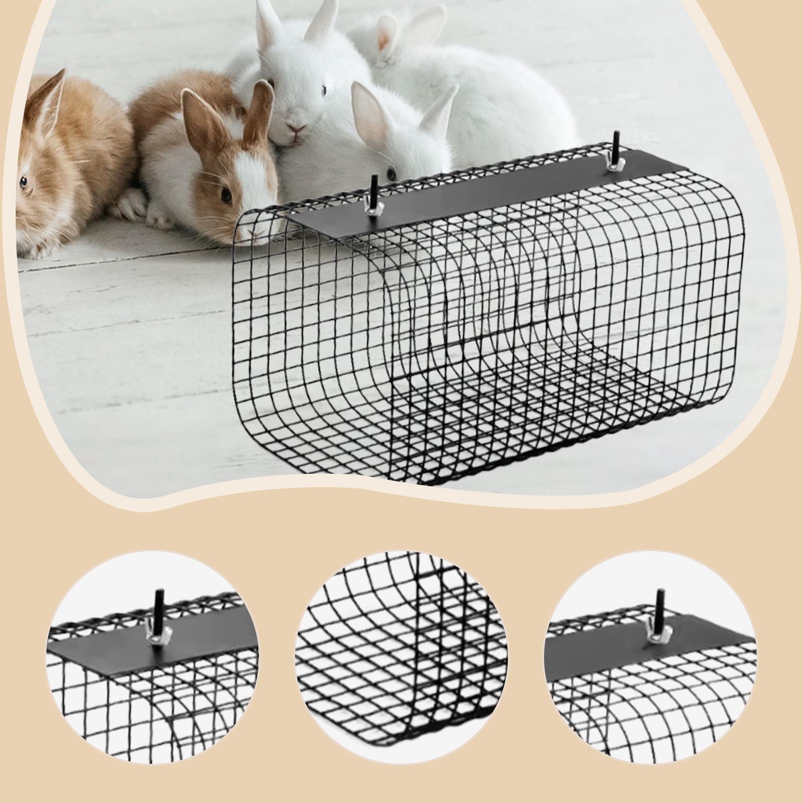 Ferret Hamster Tunnel Hideaway - مراجعة Rabbit Cage Wire وسعره