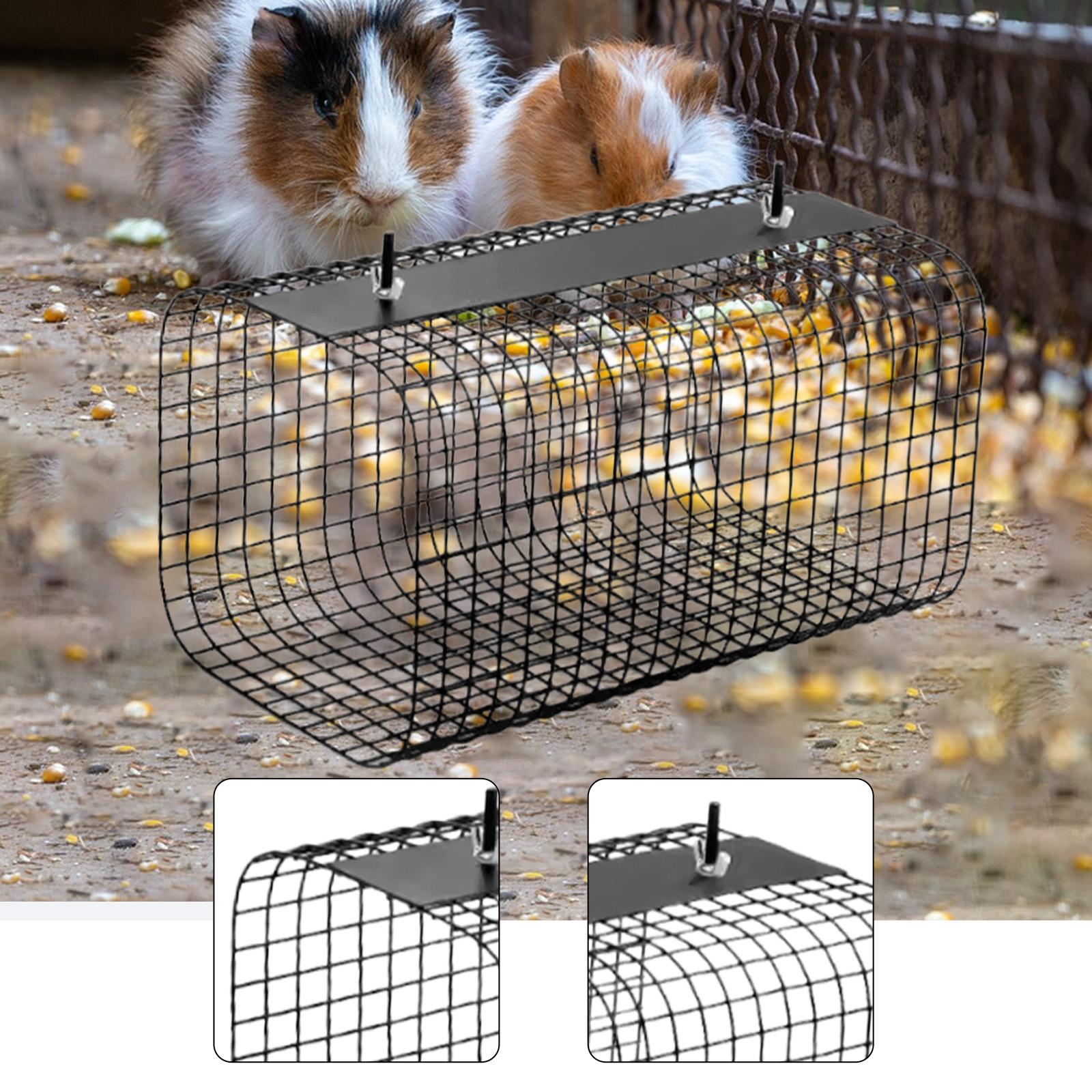 Ferret Hamster Tunnel Hideaway - مراجعة Rabbit Cage Wire وسعره