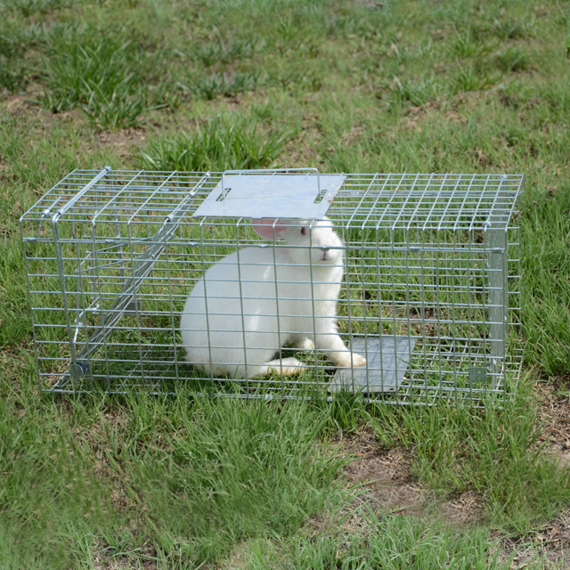 Automatic Metal Mouse Cage Tra - مراجعة Rabbit Cage Wire وسعره