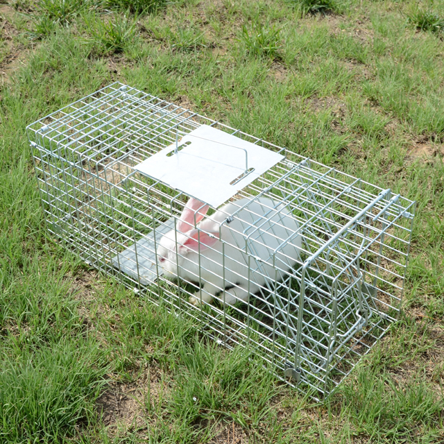 Automatic Metal Mouse Cage Tra - مراجعة Rabbit Cage Wire وسعره