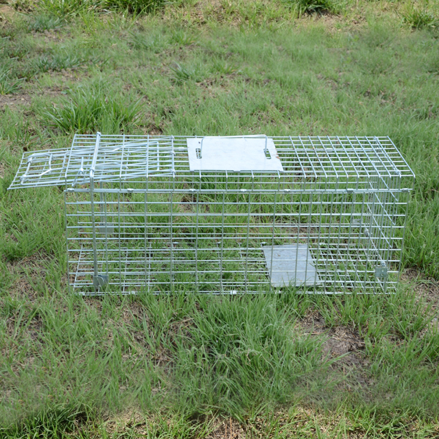 Automatic Metal Mouse Cage Tra - مراجعة Rabbit Cage Wire وسعره