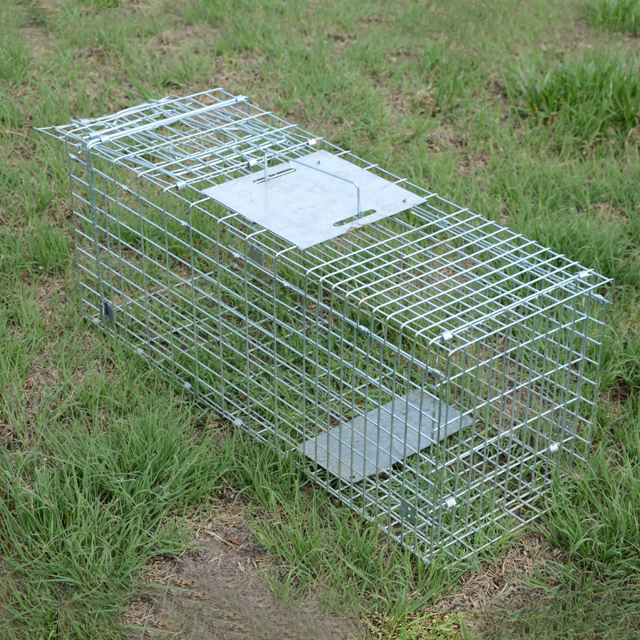 Automatic Metal Mouse Cage Tra - مراجعة Rabbit Cage Wire وسعره