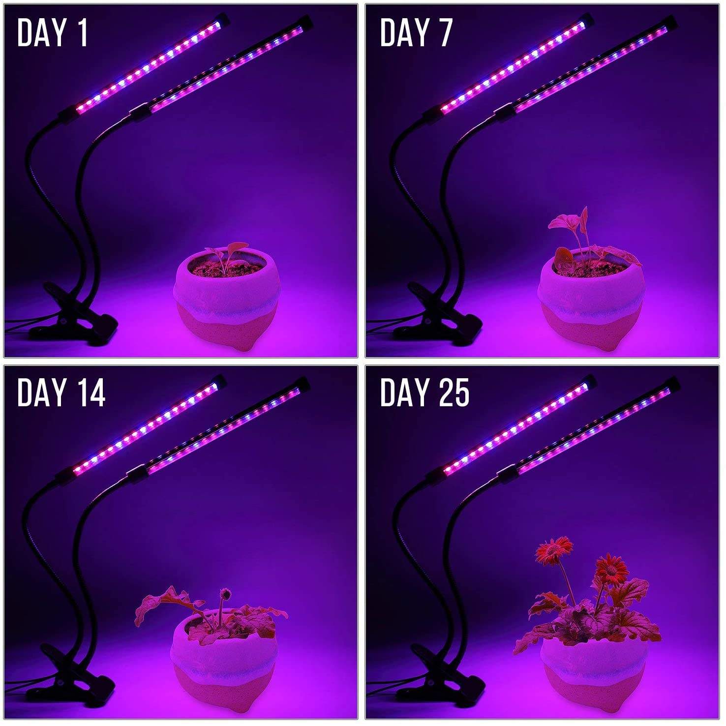 USB LED Plant Grow Light Indoo - مراجعة Plant Growth Regulator وسعره