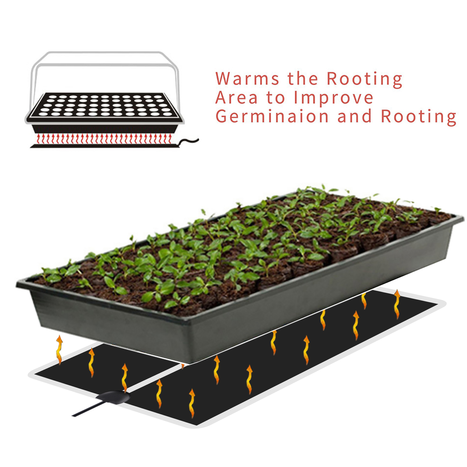 5~45W Seedling Heat Mat 220V~2 - مراجعة Plant Growth Regulator وسعره
