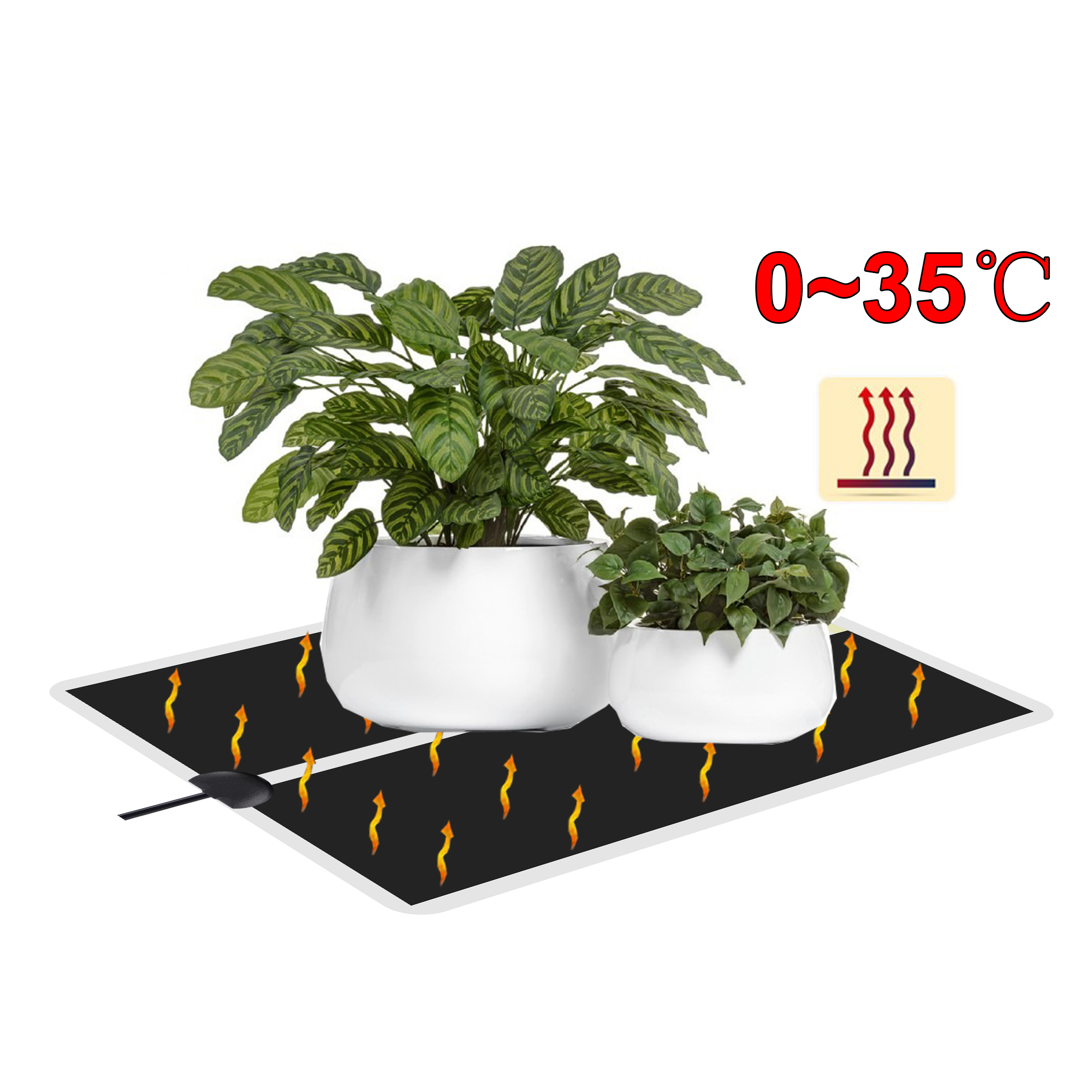 5~45W Seedling Heat Mat 220V~2 - مراجعة Plant Growth Regulator وسعره