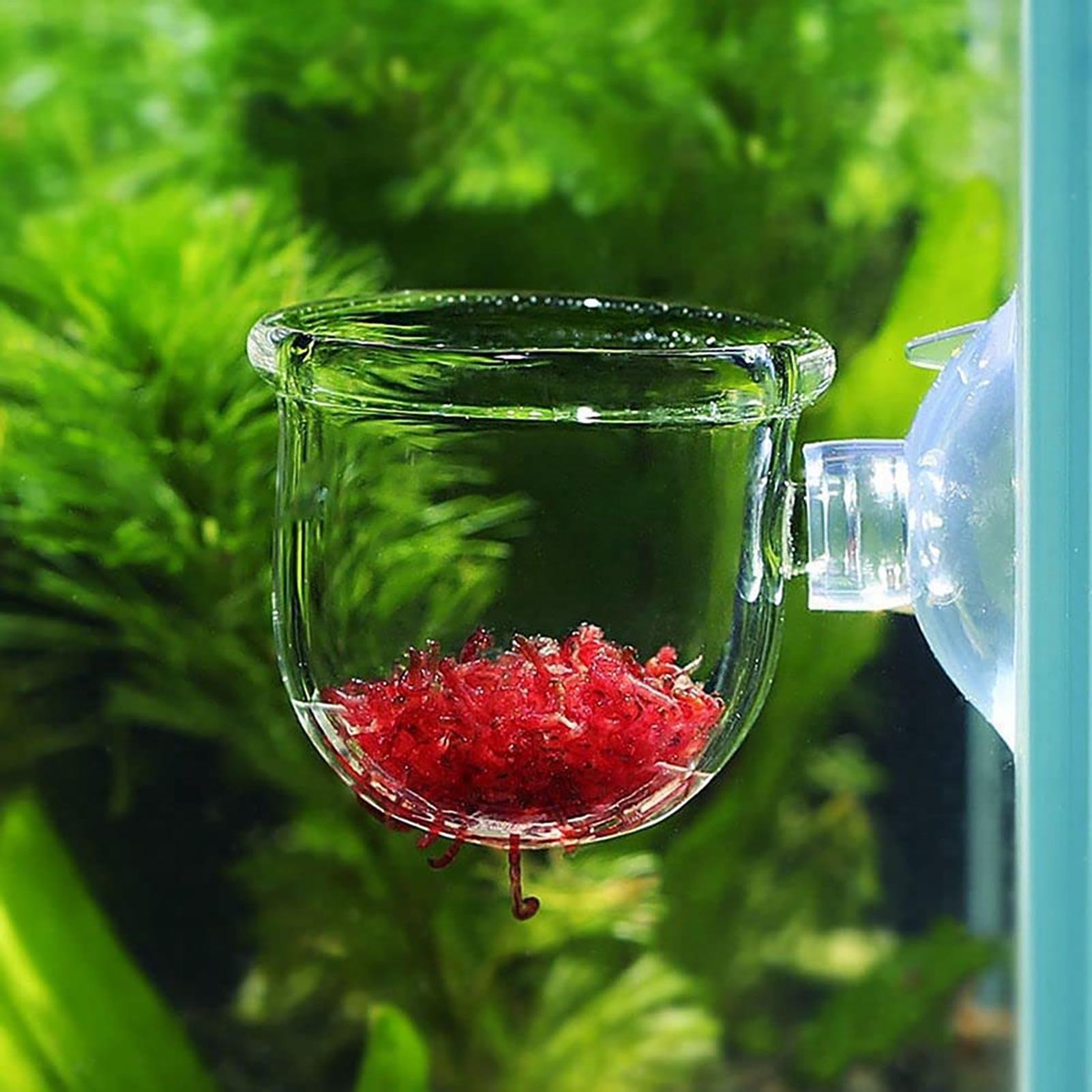 Plant Holder for Fish Tank Cle - مراجعة Plant Growth Regulator وسعره