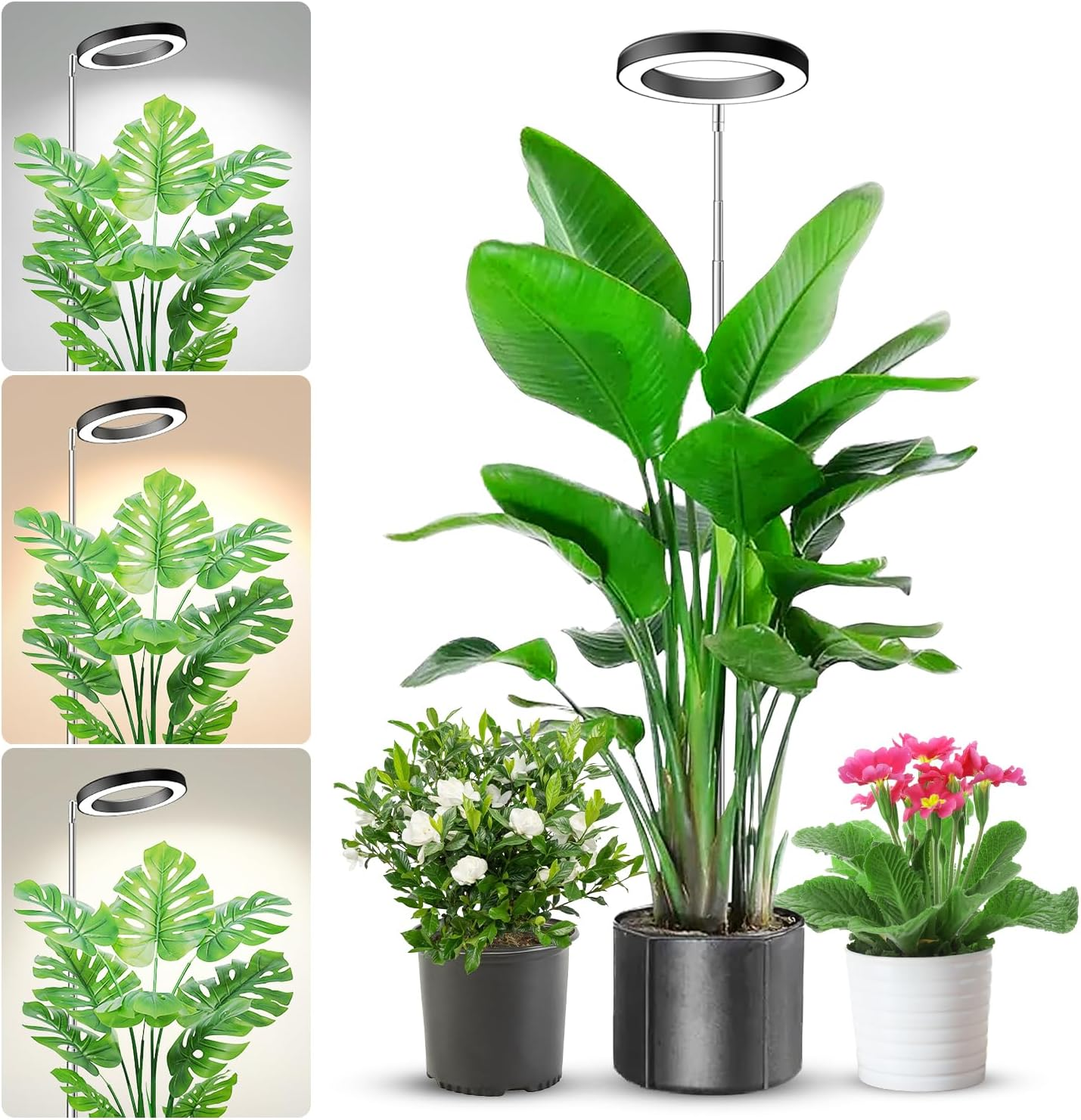 Adjustable Indoor Plant Led Gr - مراجعة Plant Growth Regulator وسعره