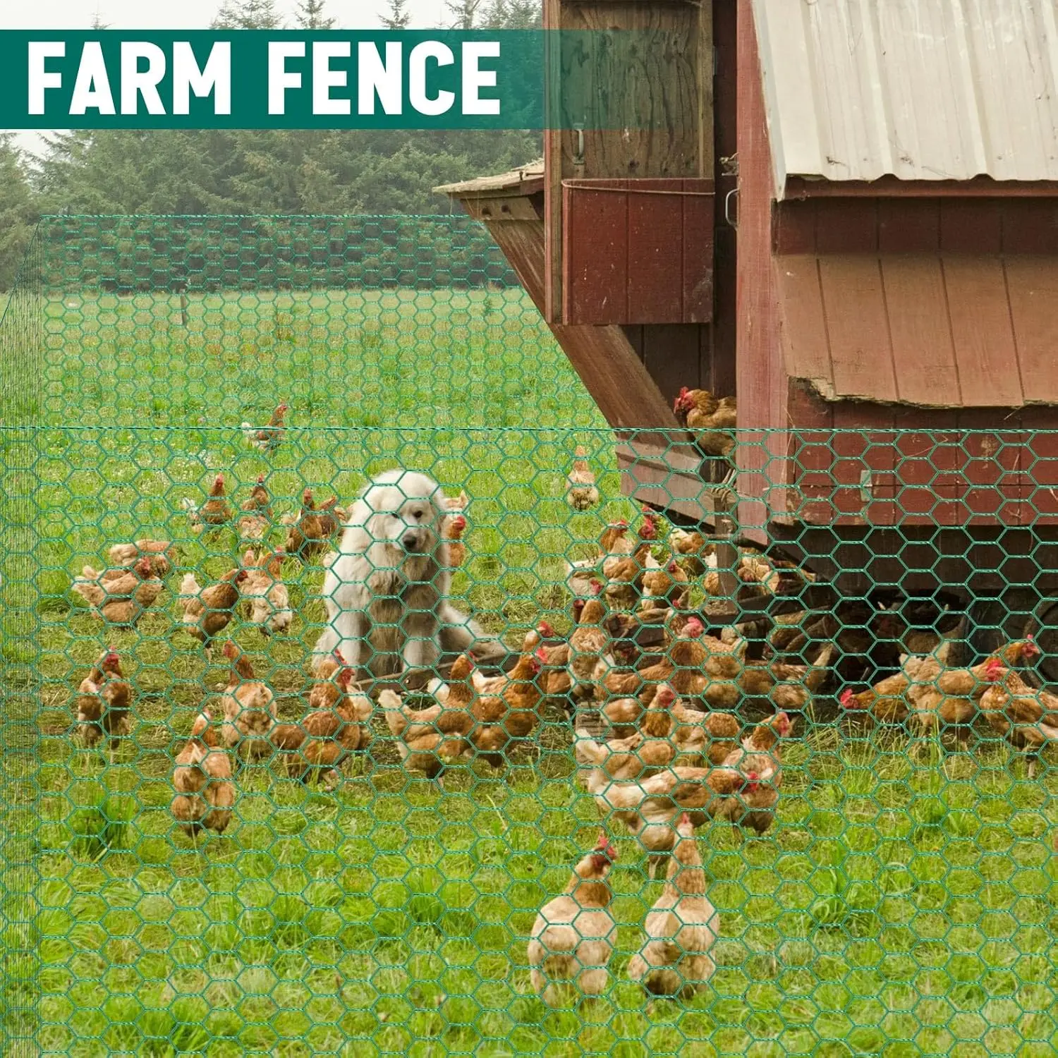 Green Chicken Wire Fencing Mes - مراجعة Rabbit Cage Wire وسعره