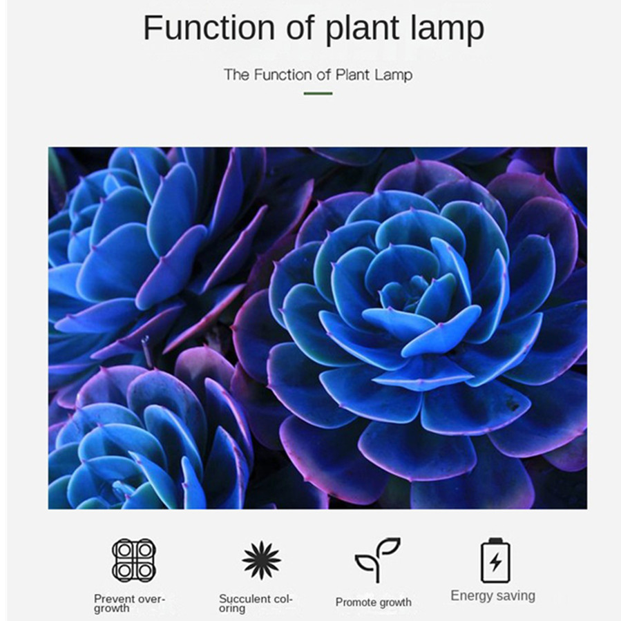 PwwQmm LED Plant Grow Lamp USB - مراجعة Plant Growth Regulator وسعره