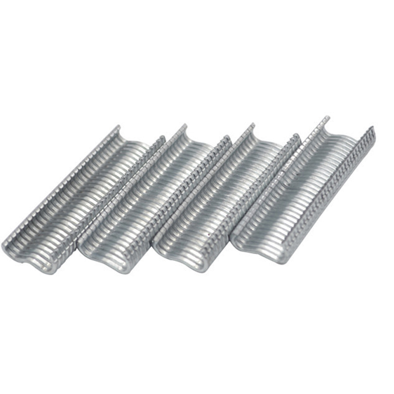 600 pcs M nail Nail cages Anim - مراجعة Rabbit Cage Wire وسعره