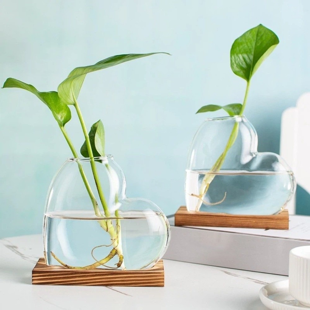 Transparent Hydroponic Glass V - مراجعة Plant Growth Regulator وسعره