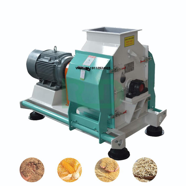 Automatic Feed Grinder Machine - مراجعة Grain Mill Grinder وسعره