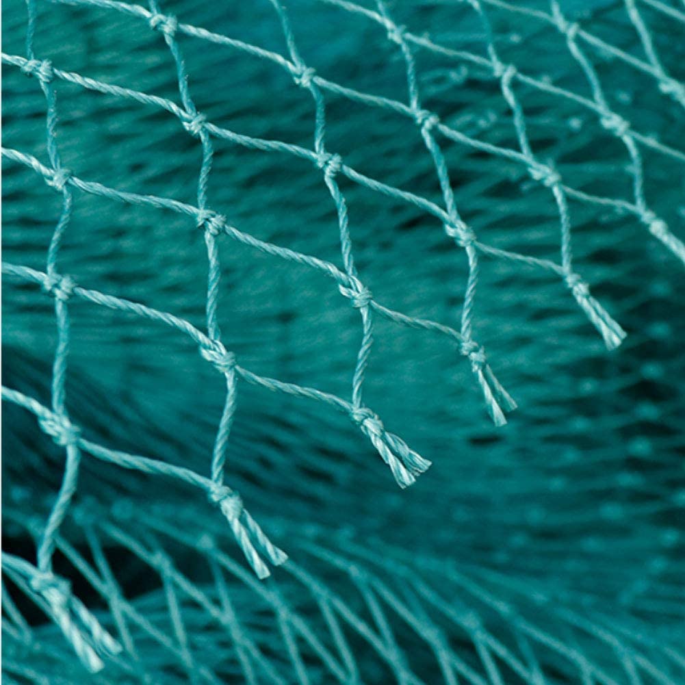 Solid Anti Bird Netting Garden - مراجعة Rabbit Cage Wire وسعره
