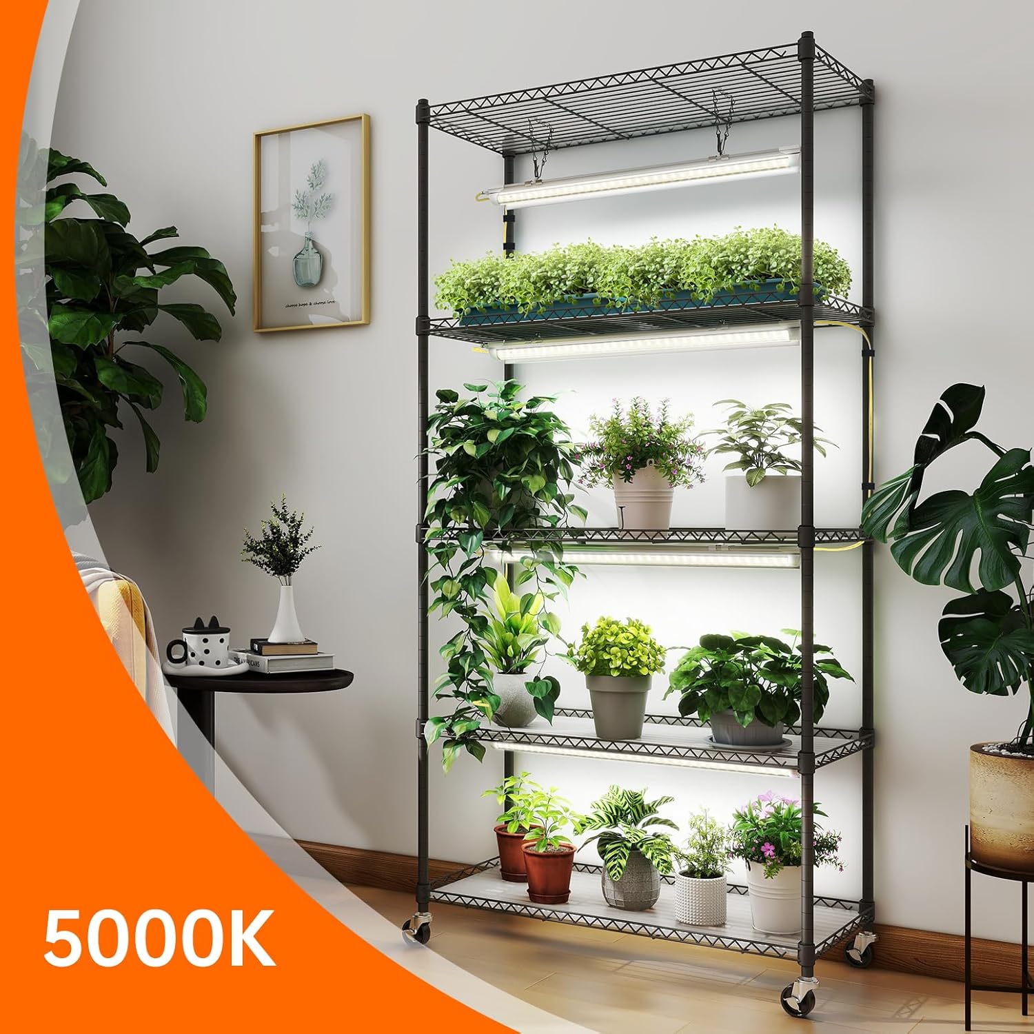 5-Tier Plant Shelf with 24W LE - مراجعة Plant Growth Regulator وسعره
