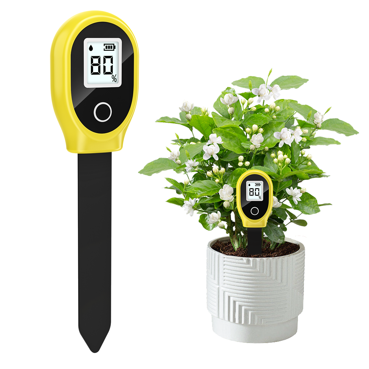 Soil Moisture Sensor Monitor P - مراجعة Plant Growth Regulator وسعره